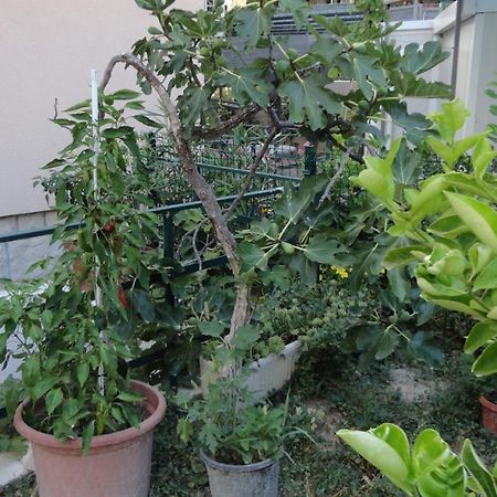 Apartman Paro Split Dış mekan fotoğraf