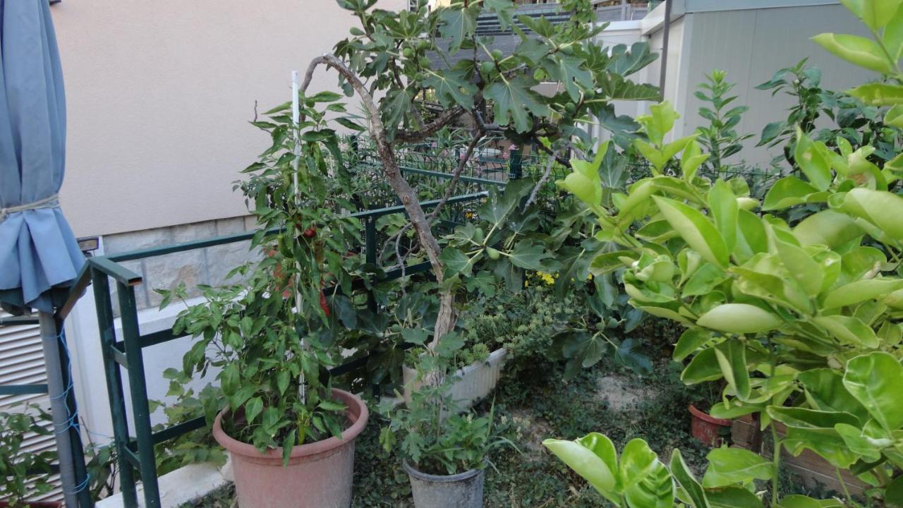Apartman Paro Split Dış mekan fotoğraf