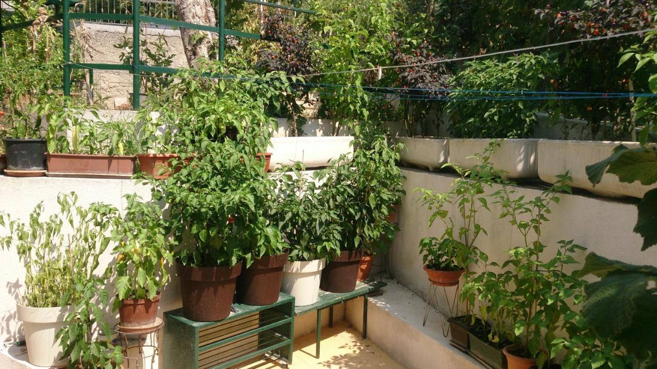 Apartman Paro Split Dış mekan fotoğraf