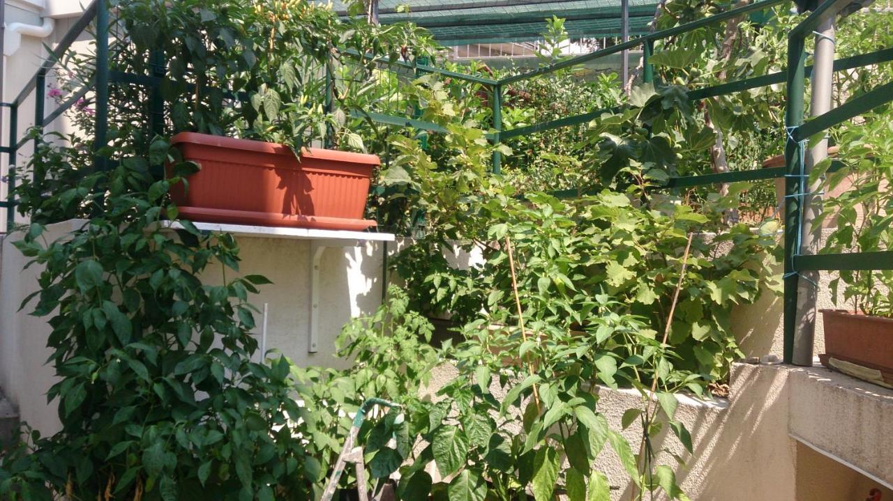 Apartman Paro Split Dış mekan fotoğraf